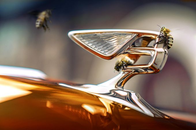 <br />
Bentley Beyond100-programma: leidende rol richting een CO2-neutrale toekomst