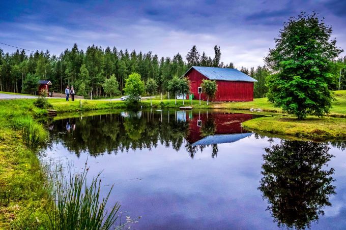 FIA World Rally Championship Secto Rally Finland Foto 2 groen vergezicht