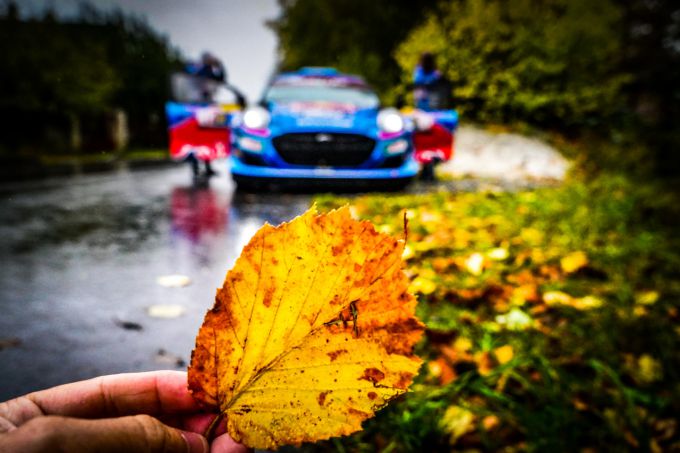 Central European Rally herfst