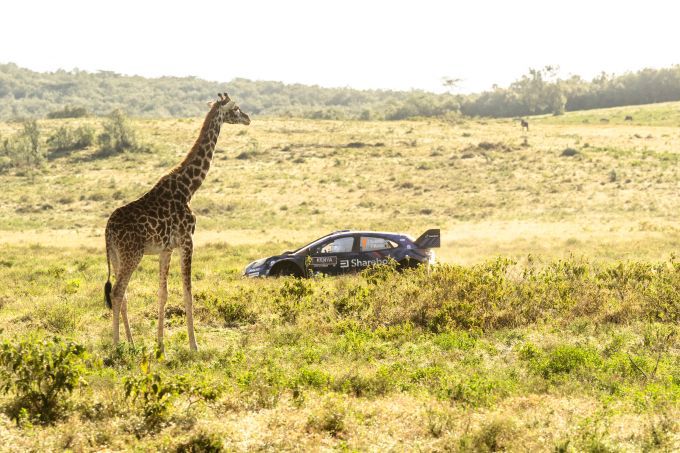 FIA WRC Safari Rally Kenia foto 15