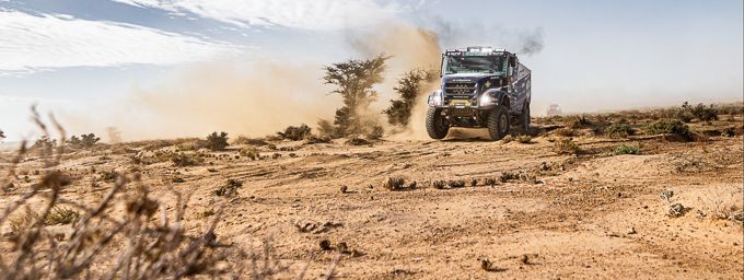 Martin van den Brink