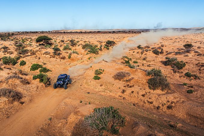 Mitchell van den Brink