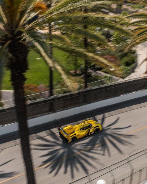 IMSA Long Beach Porsche Foto 10
