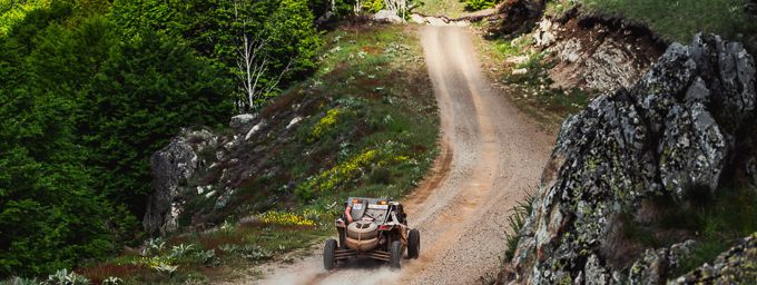 Mitchell van den Brink